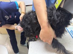 -宠颐生宠物医院·心肾内科·猫专科诊疗中心宠巢店