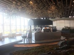 -Seesaw Coffee(朝阳大悦城店)