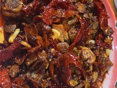 -柴窝堡22号辣子鸡·传承新疆菜