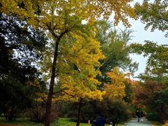 -国家植物园南园