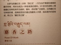 -青海藏文化博物院