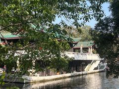 -桂湖森林公园