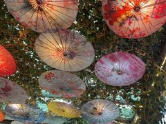 -海韵人家.海景花园经典云南菜(双廊店)