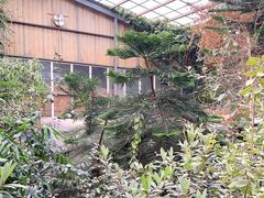 -呀路古热带植物园
