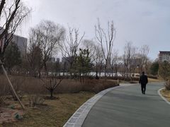 -迎泽公园