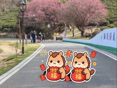 -南京市江宁方山