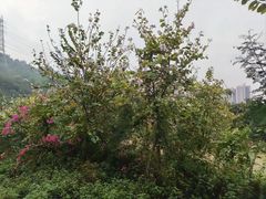 -求水山公园