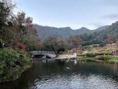 -广州市石门国家森林公园