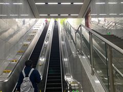 -217笋干馄饨