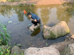 -重庆彩云湖湿地公园