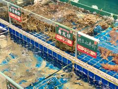 -飞尝蚝·顺德菜·鱼生(顺德总店)