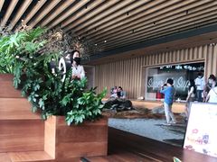 -Seesaw Coffee(朝阳大悦城店)