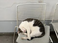 -UNIUNI(凯瑟琳广场店)