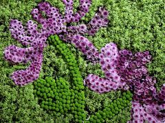 -杭州植物园