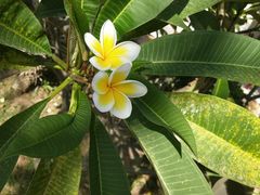 -亚龙湾亚泰商业街