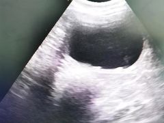 -佳怡动物医院·平价24小时·猫专科骨外科