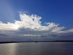 -南湖湿地公园