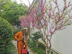 -苏州图书馆(人民路总馆)