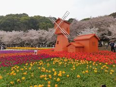 -苏州上方山国家森林公园