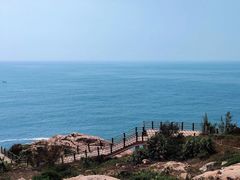 -广东惠东海龟国家级自然保护区