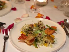 -蝶舍·MAISON PAPILLON