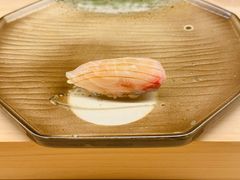 -焘