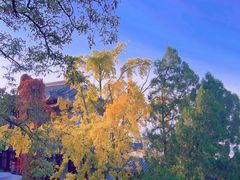 -千佛山风景名胜区