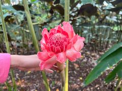 -中国科学院西双版纳热带植物园