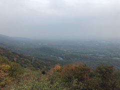 -紫金山天文台