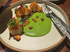 -OTIUM • 柴屿麦(亮马桥店)