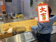 -狗道宠物(常熟印象城店)
