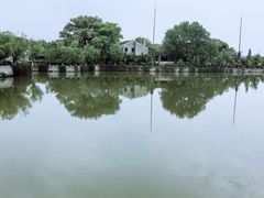 -八大山人梅湖景区
