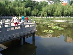 -文瀛公园
