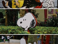 -史努比缤纷世界