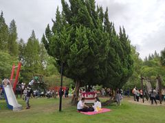 -东平国家森林公园