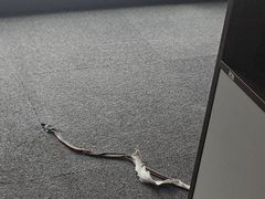 -范湖(地铁站)