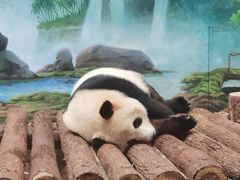 -杭州动物园