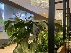 -THE WOODS 简餐 (国贸商城店)