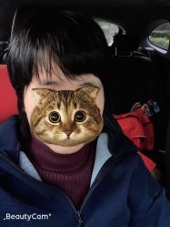 -侨治发型