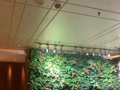 -浅深(北京北四环精品店)