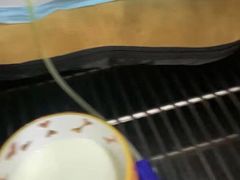 -子乐宠物医院