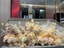 -云南吴氏嘉美医疗美容医院