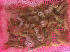 -田源农家饭店·窑鸡王·海鲜(东部湾·融创店)