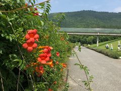 -九龙潭景区