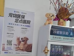 -北京观赏动物医院·24小时大型综合·猫专科·异宠专科