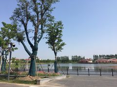 -上海长兴岛郊野公园