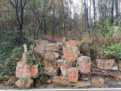 -金陵矩阵(聚宝山公园店)