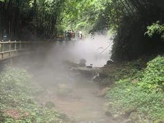 -川西竹海景区