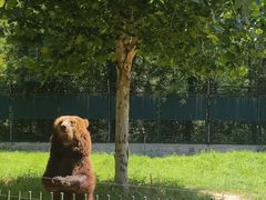 -秦皇岛野生动物园