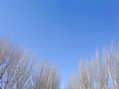 -青城公园